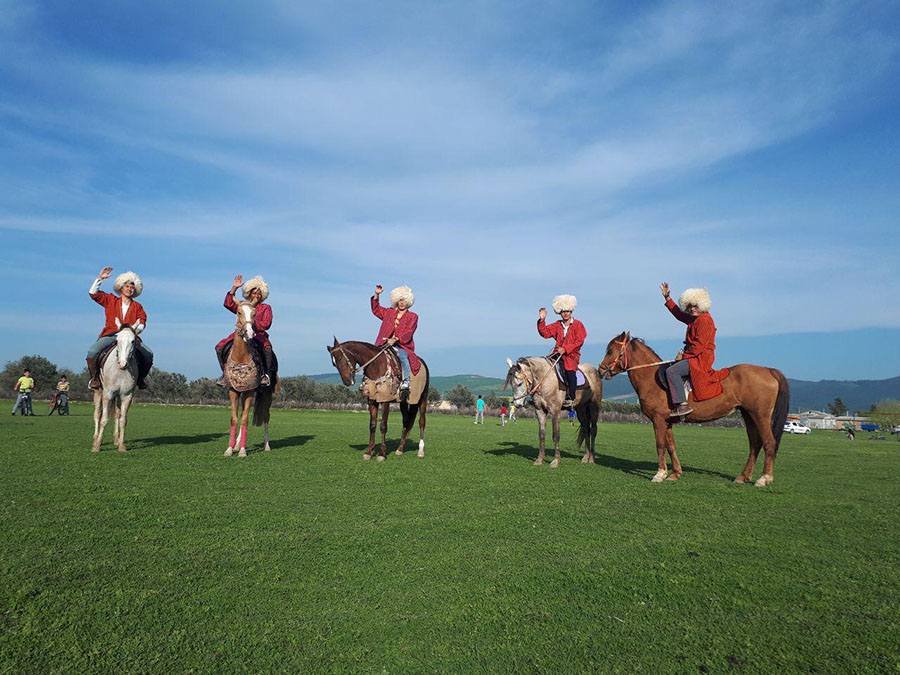 Torkaman Sahra Horses